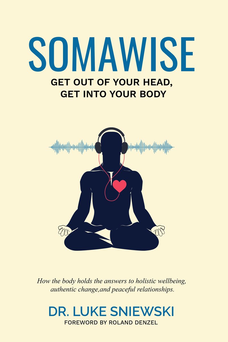 Somawise book cover design by WowPlum