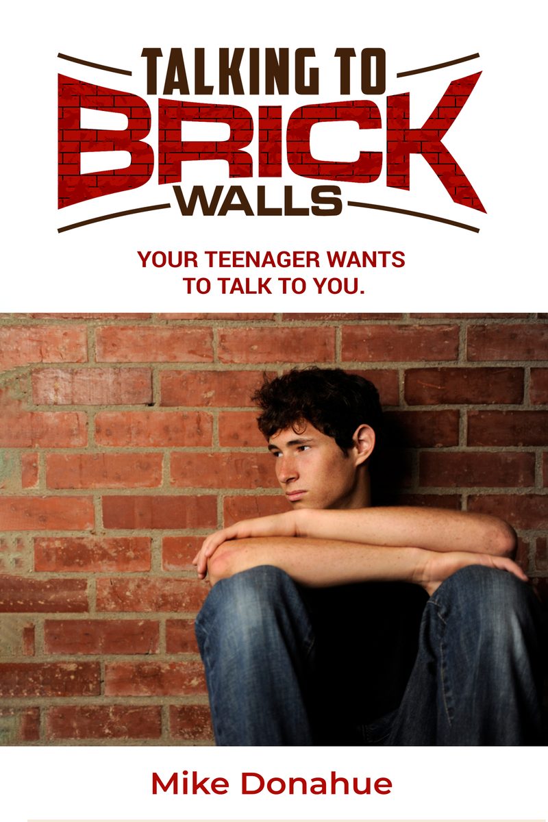 Talking to Brick Walls book cover design by WowPlum