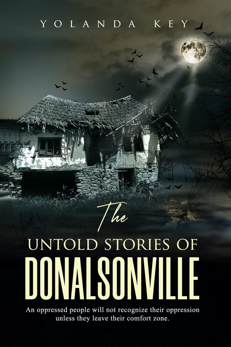 The Untold Stories of Donalsonville book cover design by WowPlum