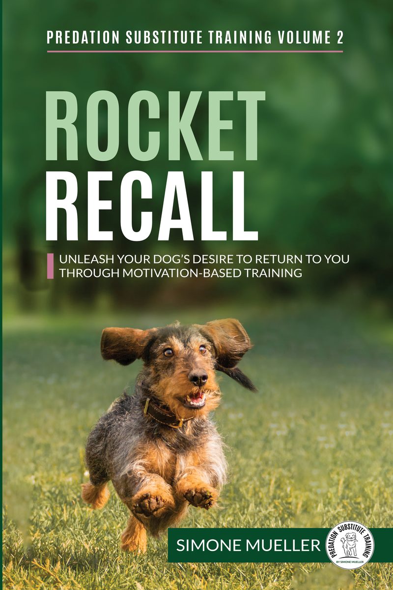Rocket Recall book cover design by WowPlum
